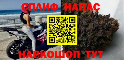 МДПВ Бийск