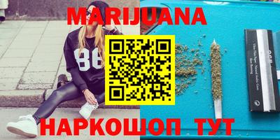 МДПВ Бийск
