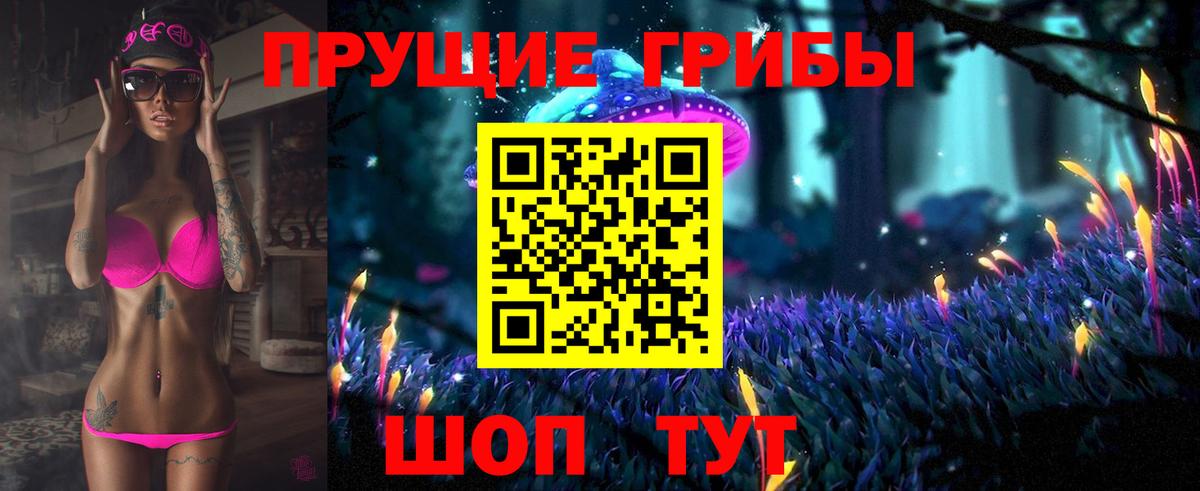 Псилоцибиновые грибы Psilocybe Казань