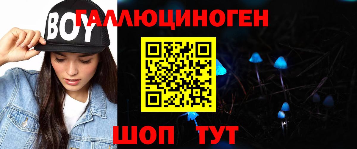 Галлюциногенные грибы Psilocybe  Вход с VPN  Галлюциногенные грибы GOLDEN TEACHER  Казань 